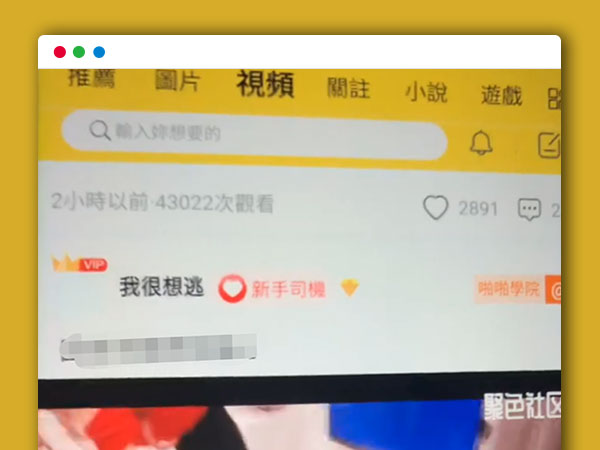 兔子团聚星社区app整理修复版 带完整搭建视频教程