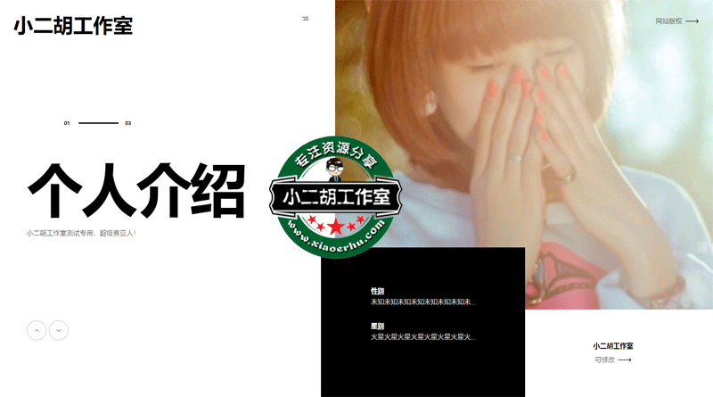 1563351893702793.gif 网站标题.gif