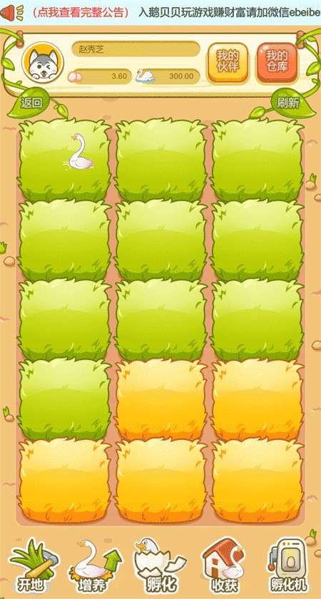 1580561033356652.png 鹅贝贝.png